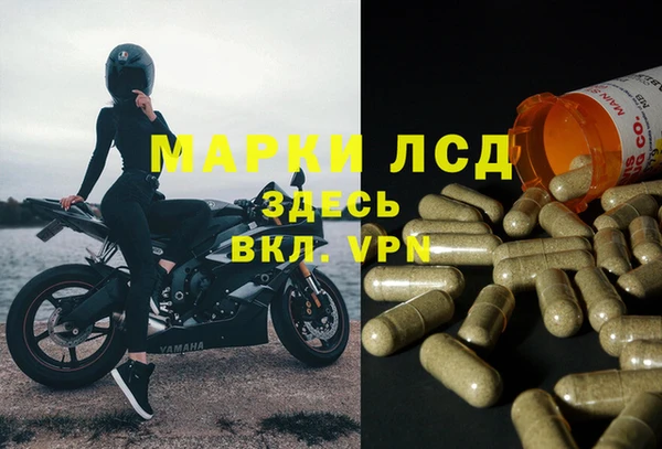 не бодяженный Новозыбков