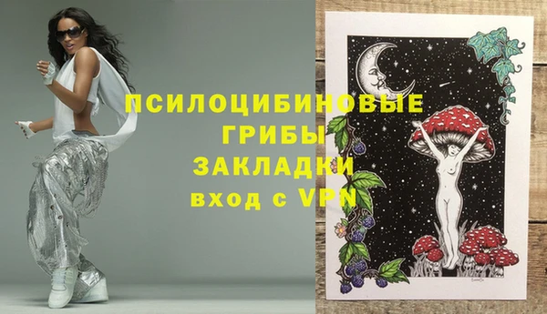 не бодяженный Новозыбков