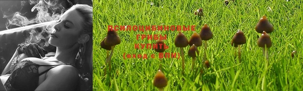 ALPHA PVP Нефтекумск