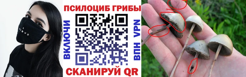 Псилоцибиновые грибы мухоморы  Десногорск 