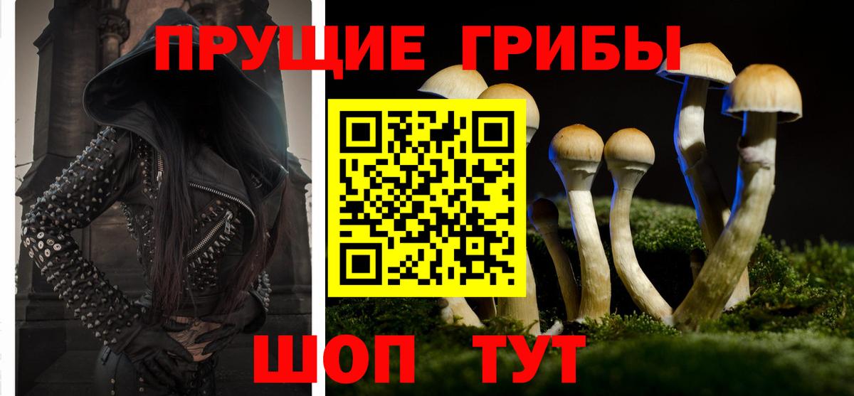 даркнет сайт  Галлюциногенные грибы ЛСД  Вход с VPN  Галлюциногенные грибы ЛСД  Десногорск 